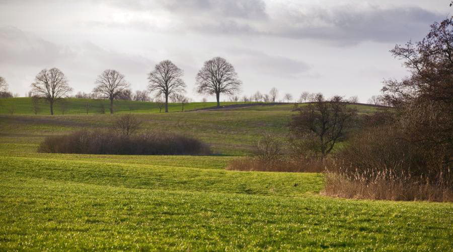 Najlepsze oferty wynajmu samochodów w Schwerinie